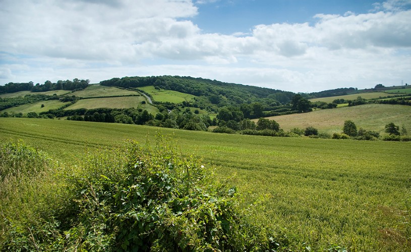 Colliers Way